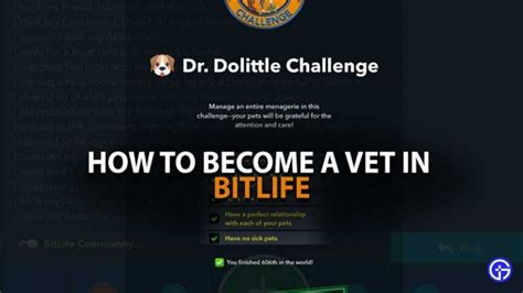 how to be a vet in bitlife|BitLife: How to Become a Vet .